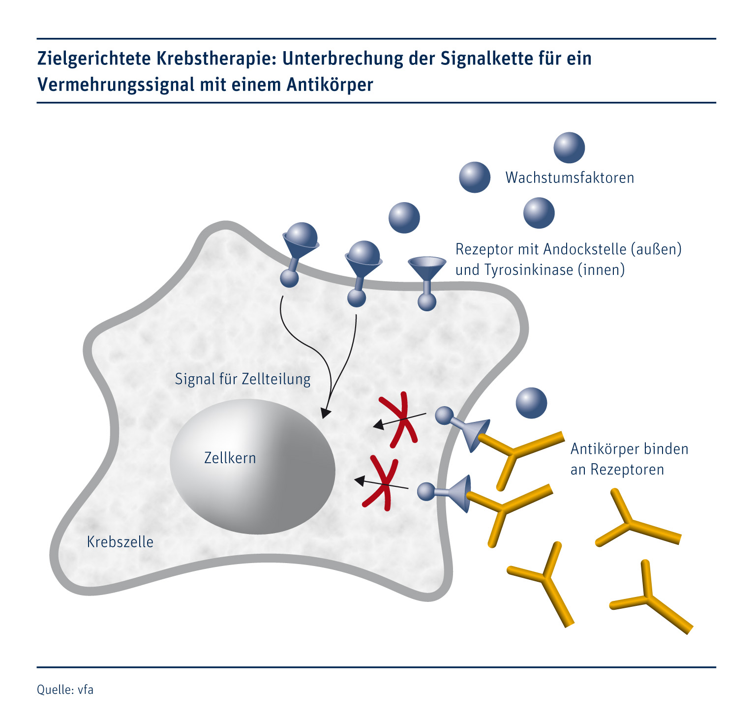 Dritte Stunde: Pharmaforschung